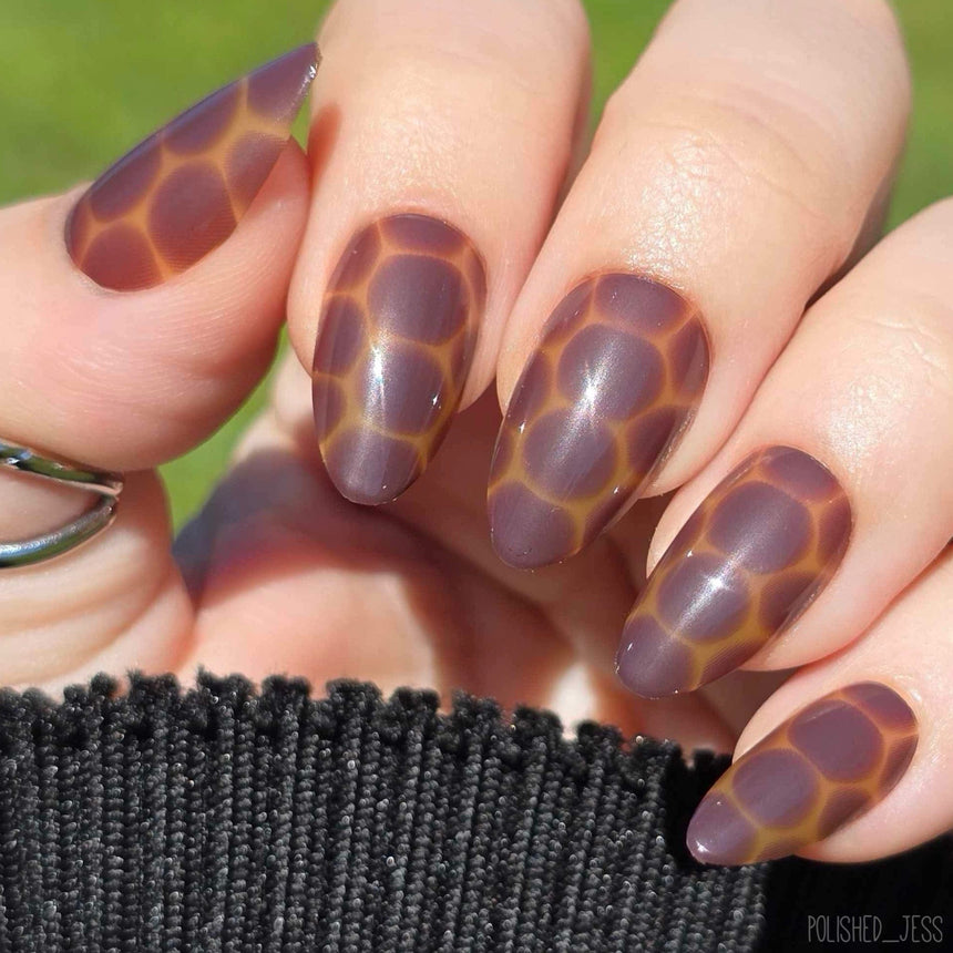 Amber Shell Press On Nails - Short Almond