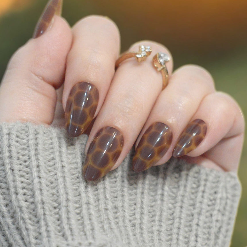 Amber Shell Press On Nails - Short Almond