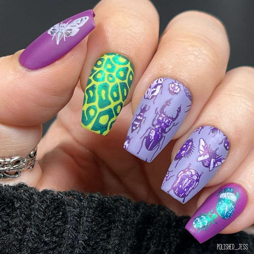 Armored Wings (M468) - Nail Stamping Plate