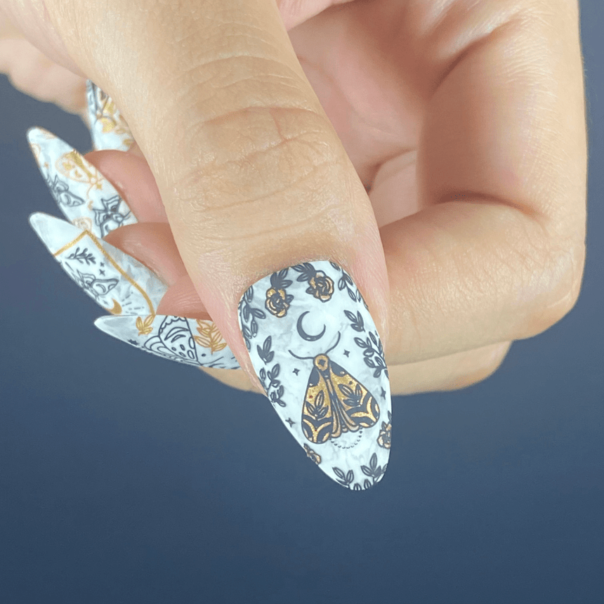 Artist Collaboration: Anesayart Celestial Wings (M364) - Nail Stamping Plate