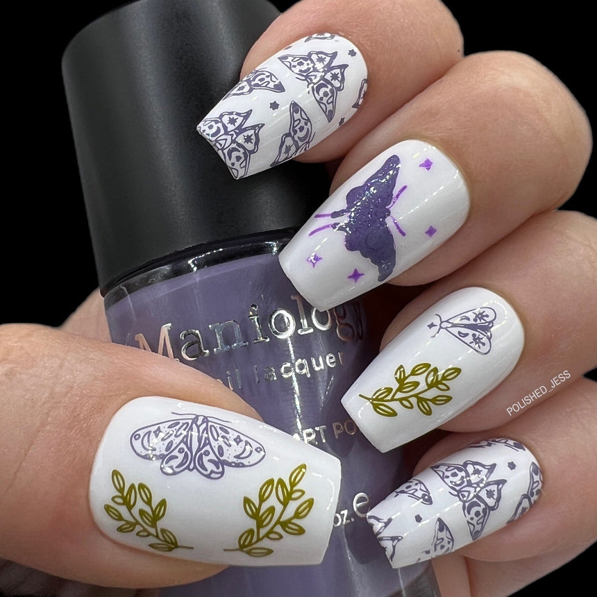 Artist Collaboration: Anesayart Celestial Wings (M364) - Nail Stamping Plate