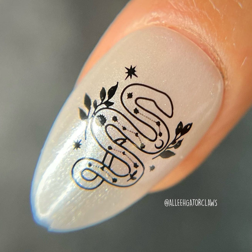 Artist Collaboration: Anesayart Snake Charmer (M363) - Nail Stamping Plate