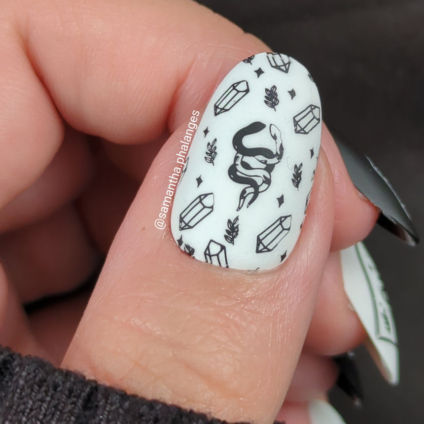 Artist Collaboration: Anesayart Snake Charmer (M363) - Nail Stamping Plate