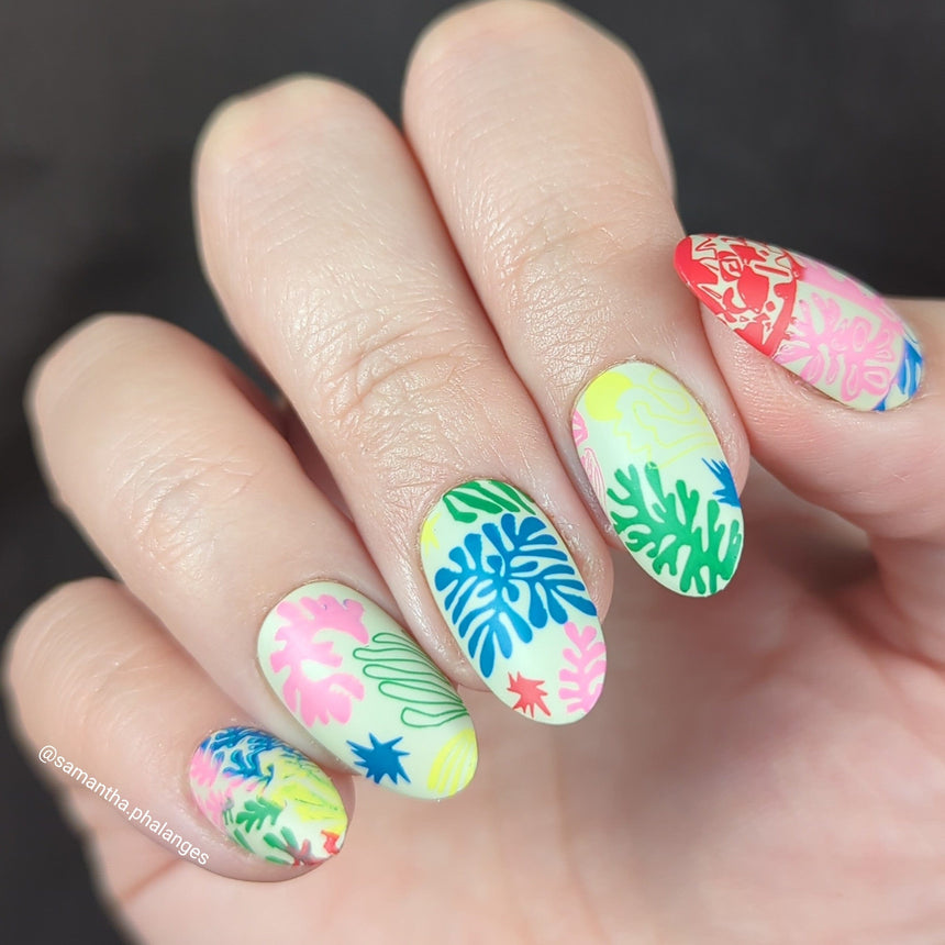 Arts: Henri Matisse (M435) - Nail Stamping Plate