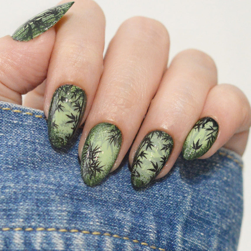 Bamboo Forests (M668) - Nail Stamping Plate