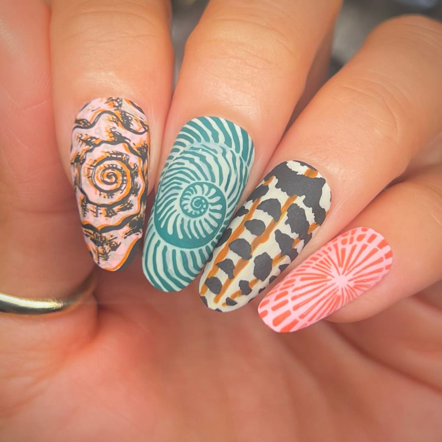 Beachcomber (M706) - Nail Stamping Plate