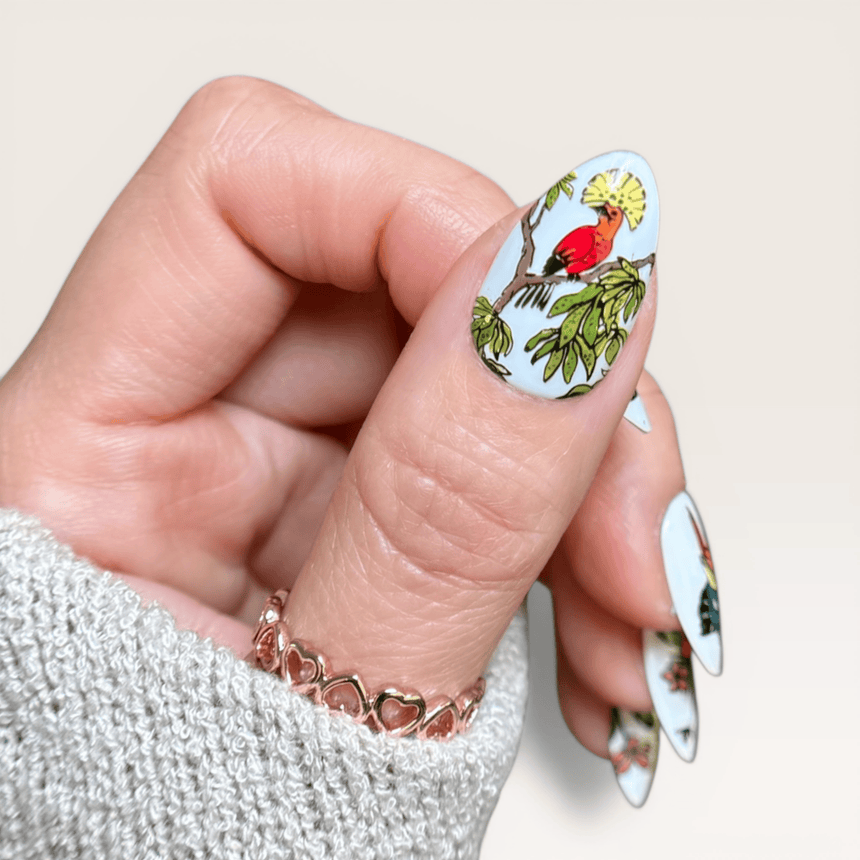 Birds of Paradise (M711) - Nail Stamping Plate
