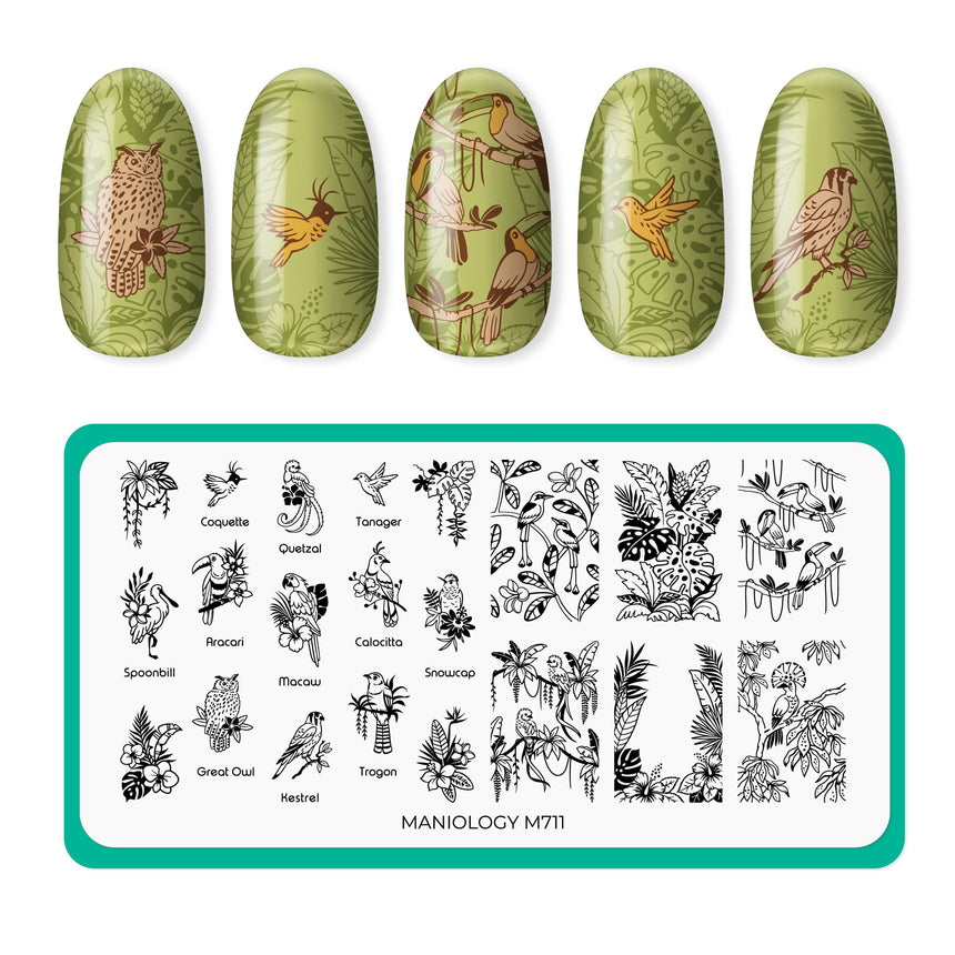 Birds of Paradise (M711) - Nail Stamping Plate