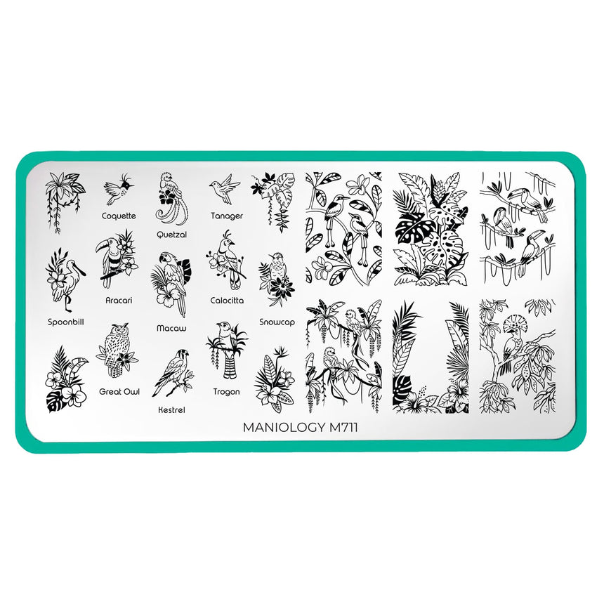Birds of Paradise (M711) - Nail Stamping Plate