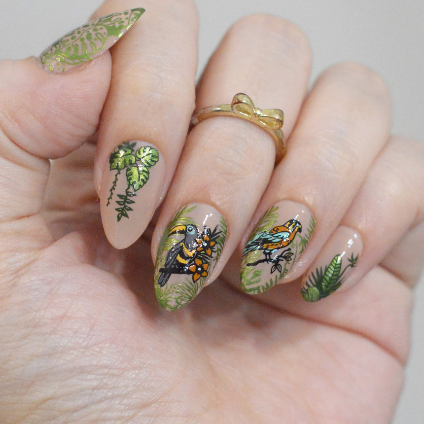 Birds of Paradise (M711) - Nail Stamping Plate