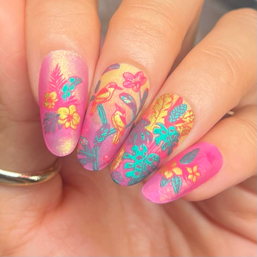 Birds of Paradise (M711) - Nail Stamping Plate