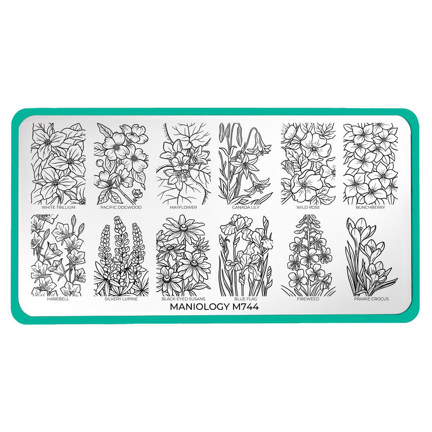 Bloomscape (M744) - Nail Stamping Plate