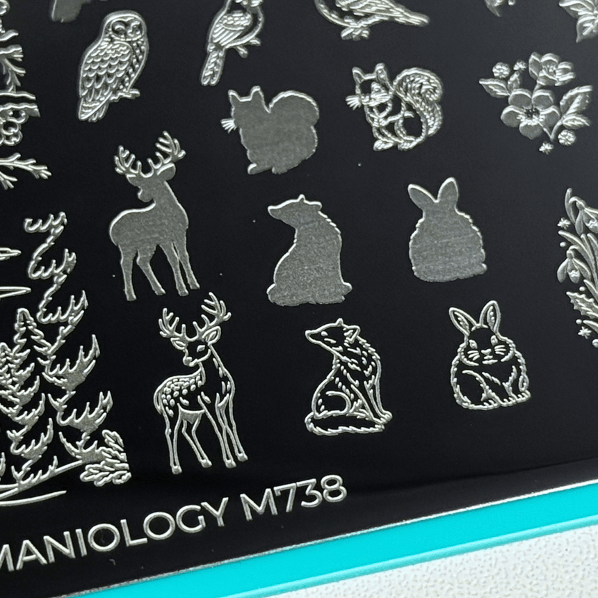 Box of Cozy - Limited Edition Holiday Countdown Calendar