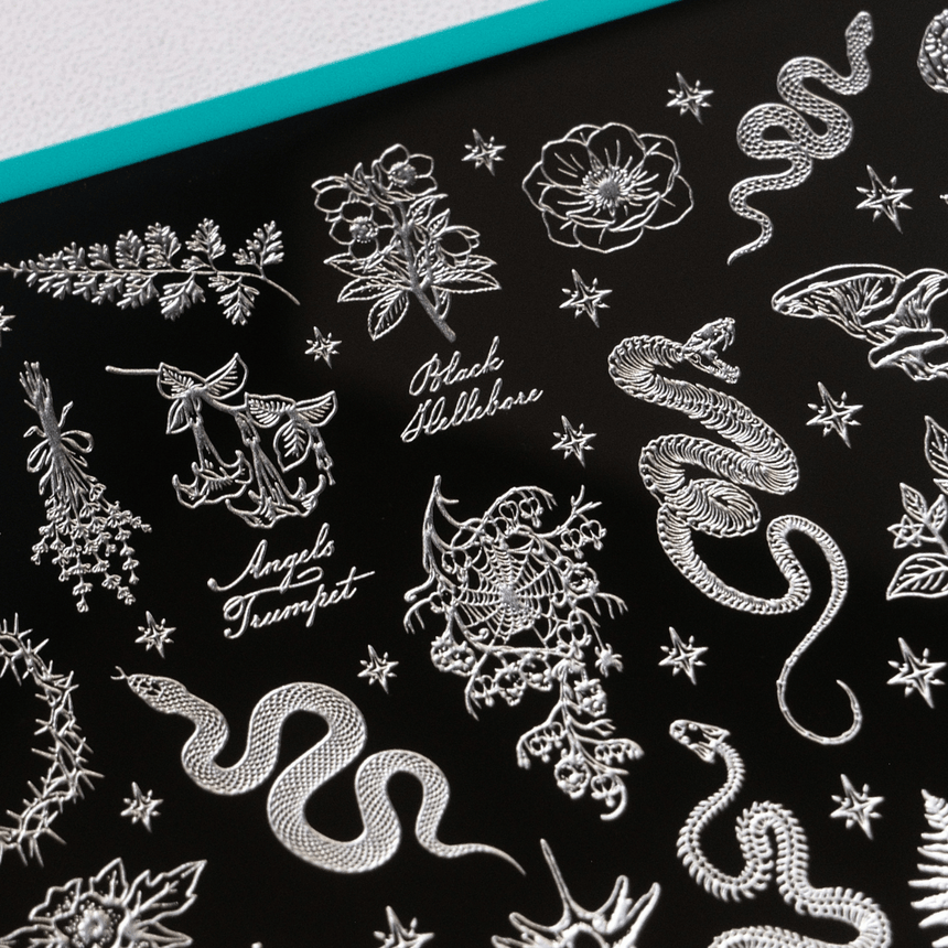Box of Spells - Limited Edition Halloween Countdown Calendar