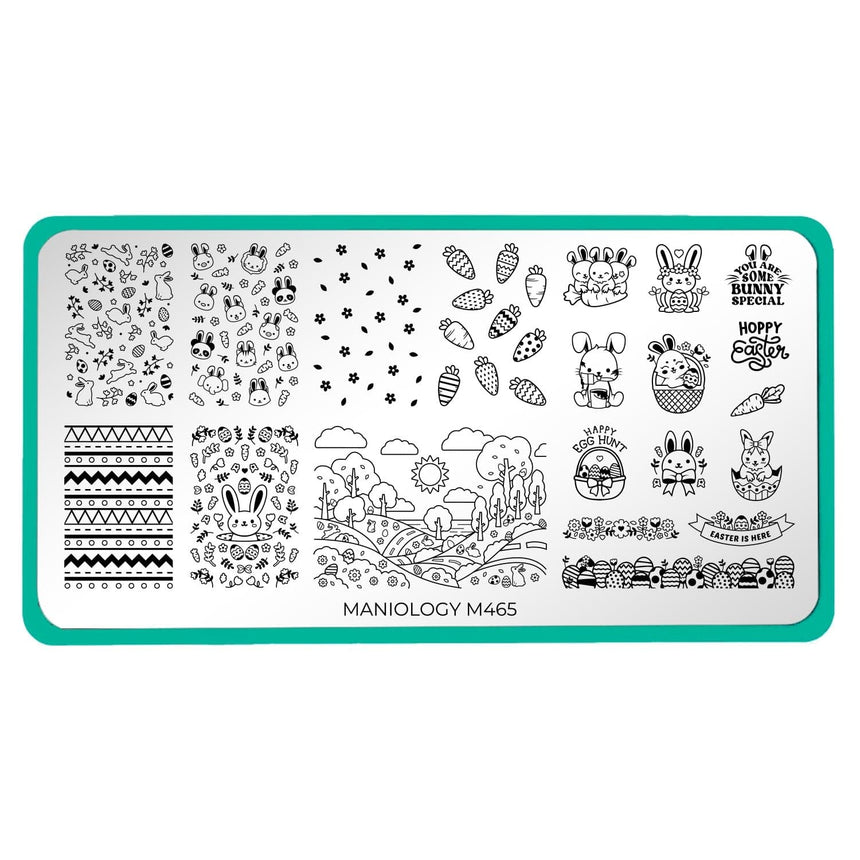 Carrot Patch (M465) - Nail Stamping Plate