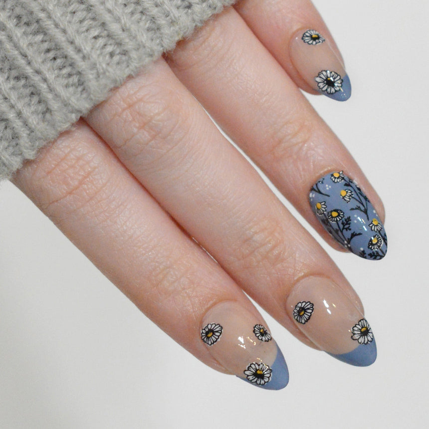 Chamomile Melody (M683) - Nail Stamping Plate