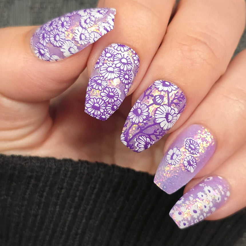Chamomile Melody (M683) - Nail Stamping Plate