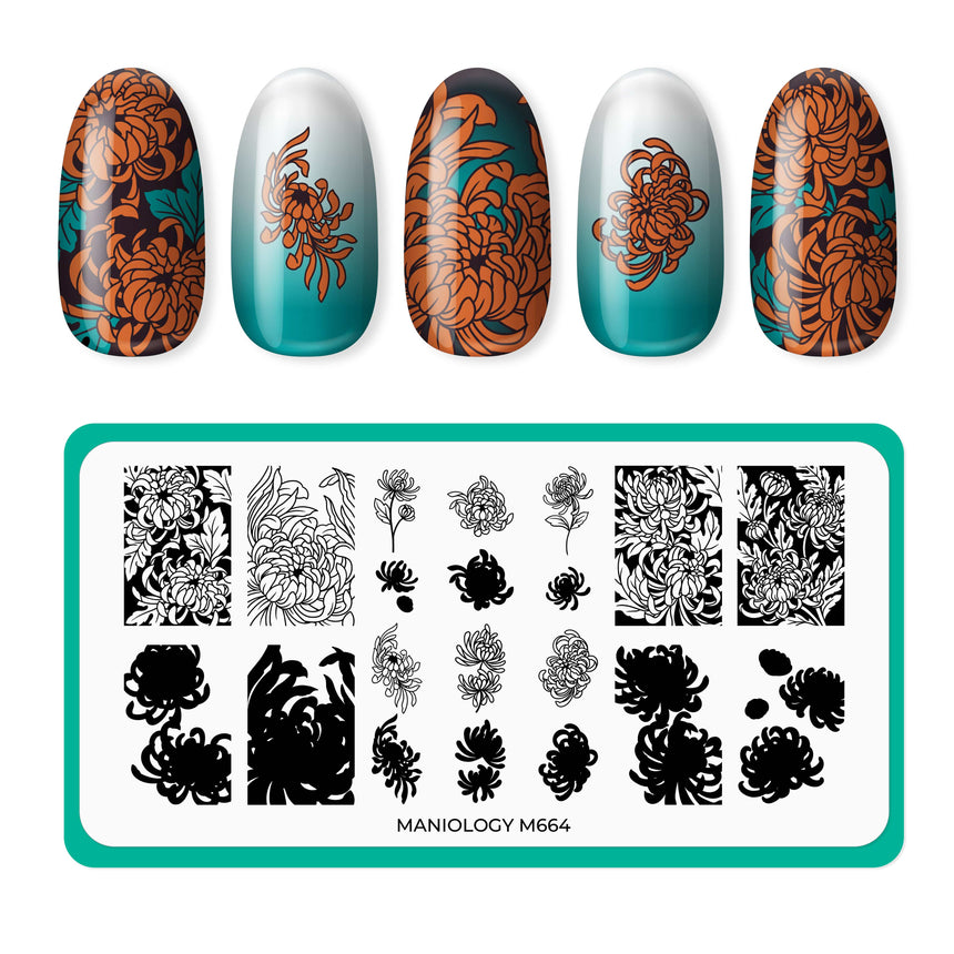 Chrysanthemum Blossoms (M664) - Nail Stamping Plate
