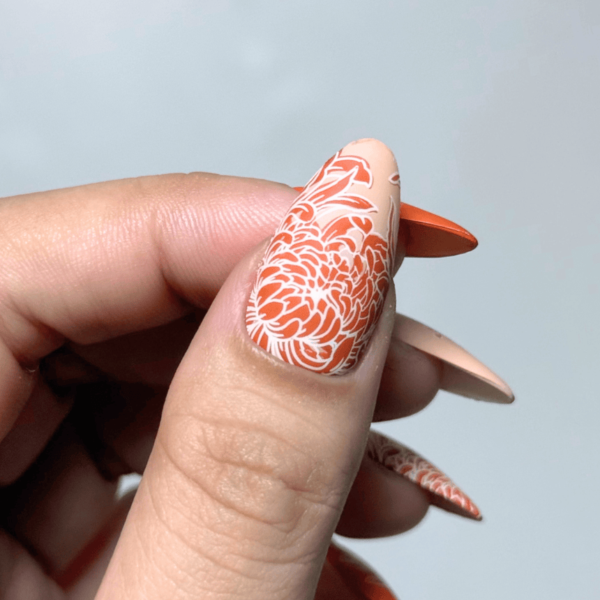 Chrysanthemum Blossoms (M664) - Nail Stamping Plate