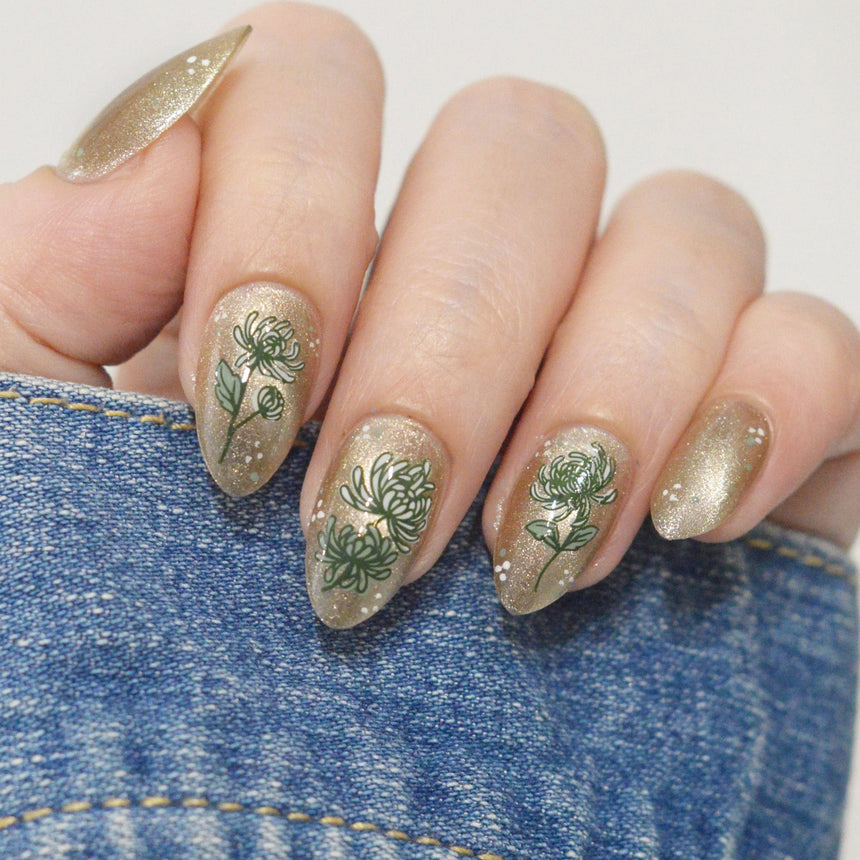 Chrysanthemum Blossoms (M664) - Nail Stamping Plate
