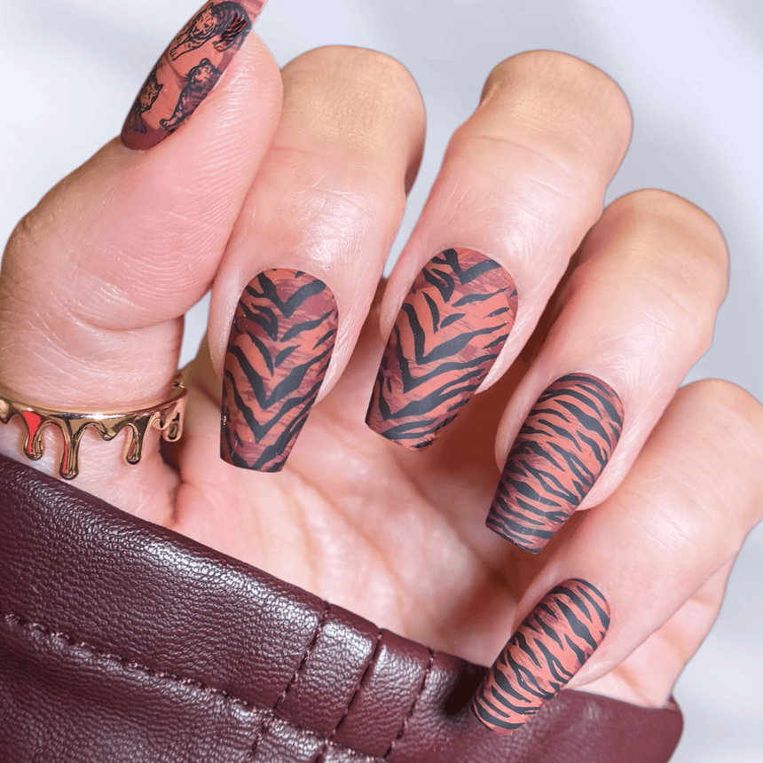 Clawed and Dangerous (M690) - Nail Stamping Plate