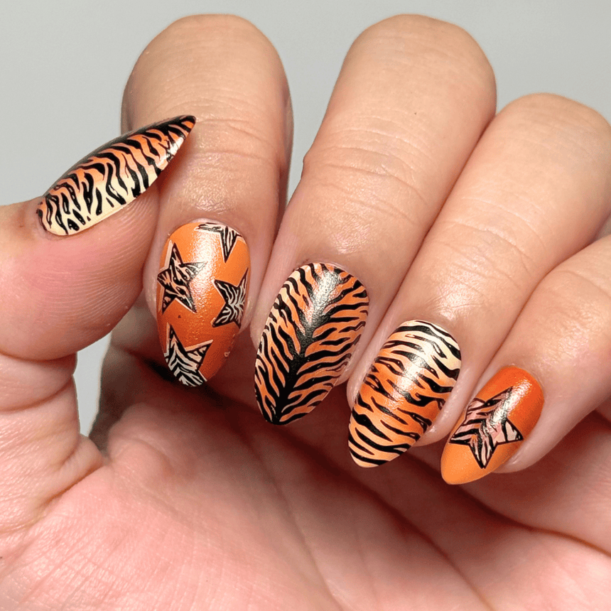 Clawed and Dangerous (M690) - Nail Stamping Plate