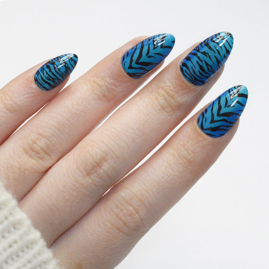 Clawed and Dangerous (M690) - Nail Stamping Plate