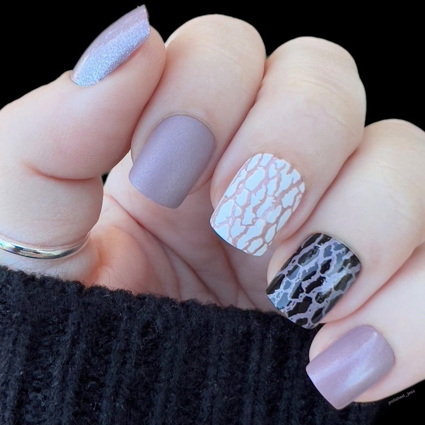 Dovetail (B365) Metallic Taupe Stamping Polish