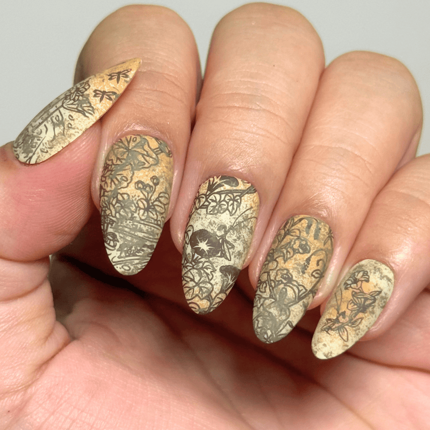 Everyday Beauties (M692) - Nail Stamping Plate