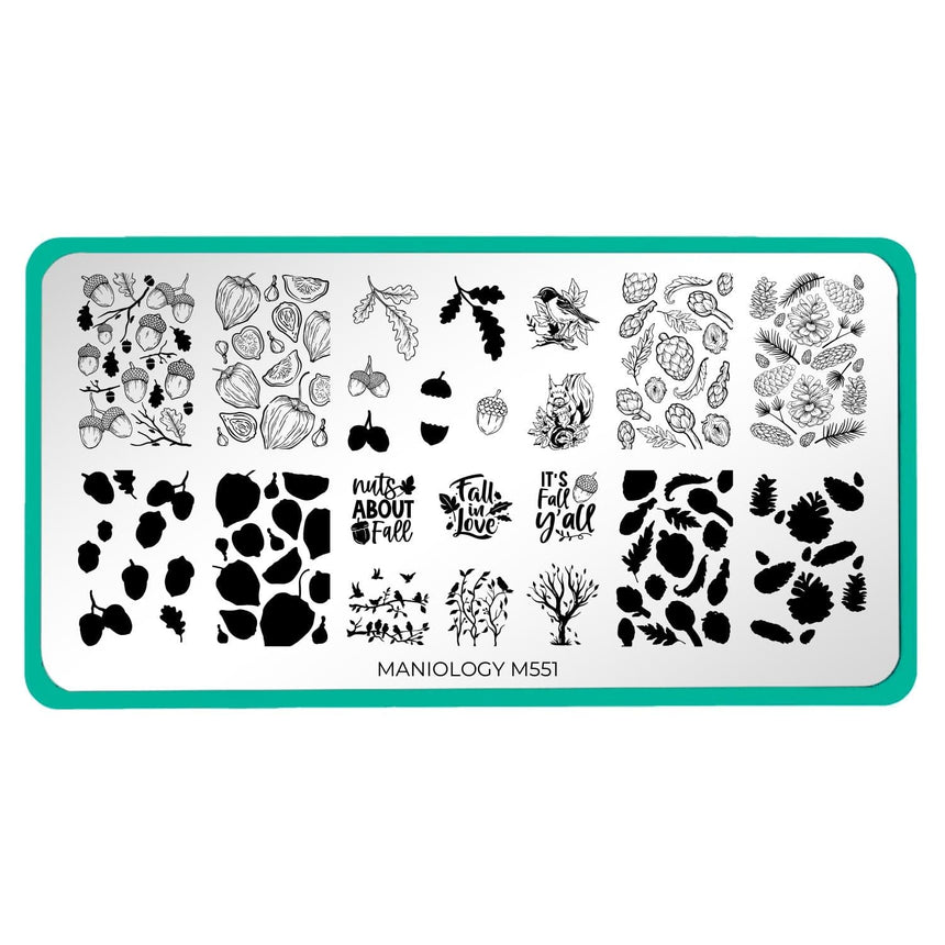 Figs & Acorns (M551) - Nail Stamping Plate