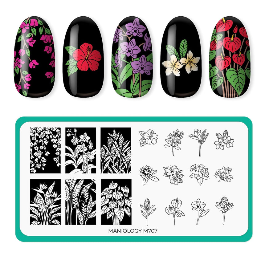 Flora Exotica (M707) - Nail Stamping Plate