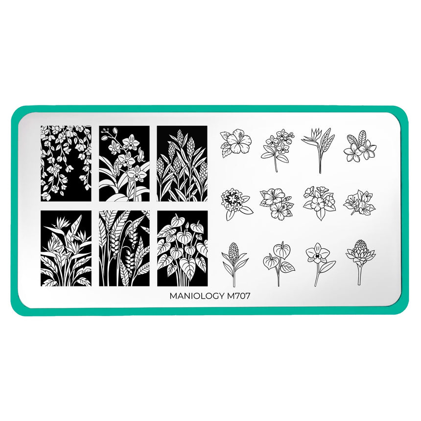 Flora Exotica (M707) - Nail Stamping Plate