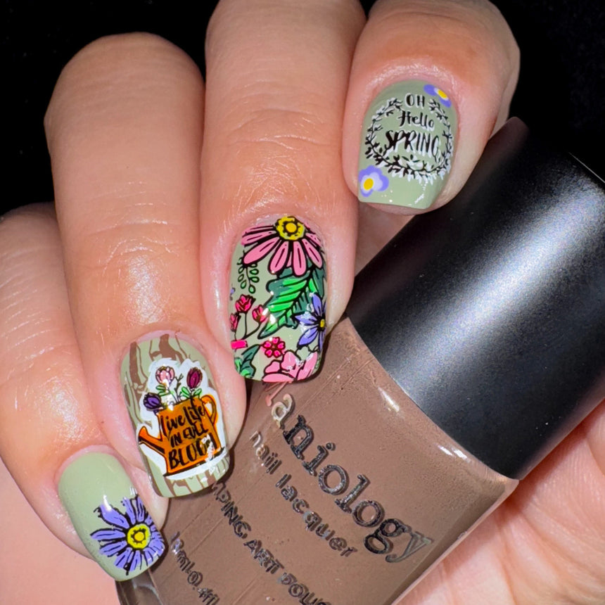 Fresh Blooms (M560) - Nail Stamping Plate