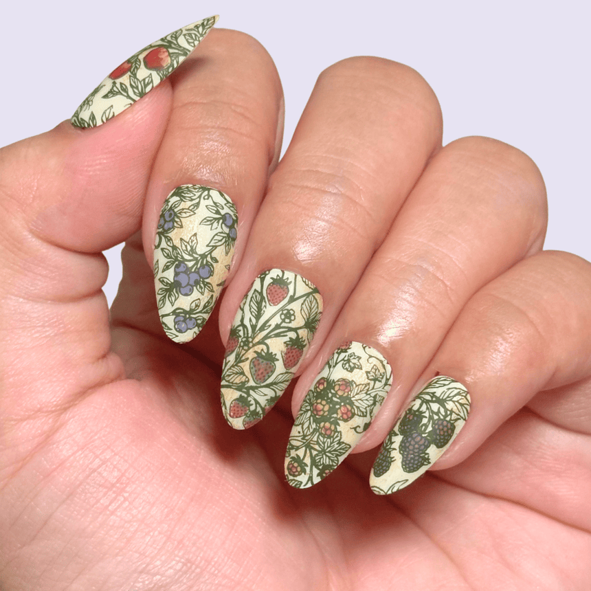 Fruit Snacks (M746) - Nail Stamping Plate