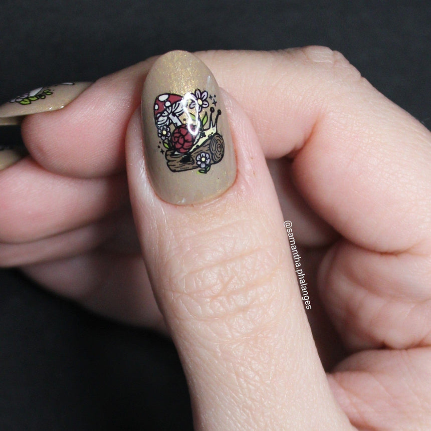 Garden Friends (M557) - Nail Stamping Plate