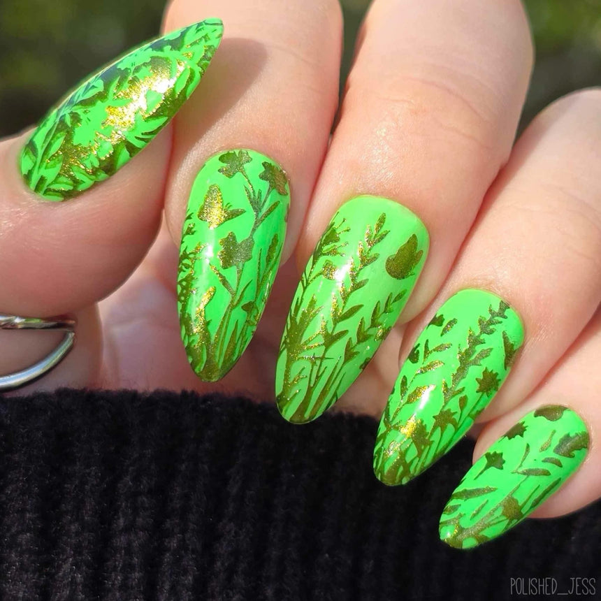 Growing Shadows (M585) - Nail Stamping Plate