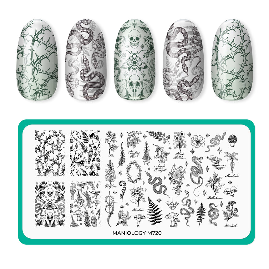 Box of Spells - Limited Edition Halloween Countdown Calendar