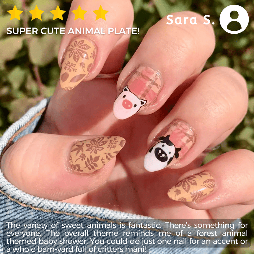 Hide & Seek (M497) - Nail Stamping Plate