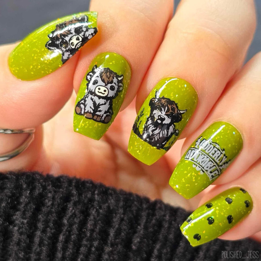 Highland Cows (M590) - Nail Stamping Plate