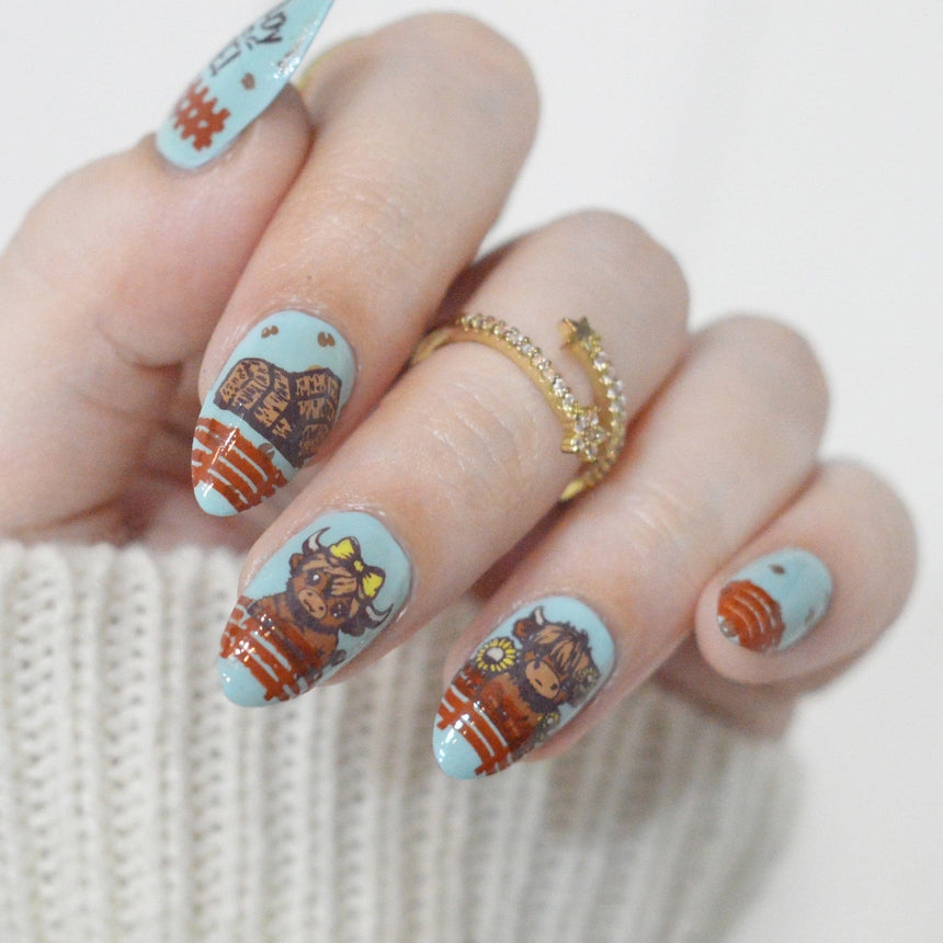 Highland Cows (M590) - Nail Stamping Plate