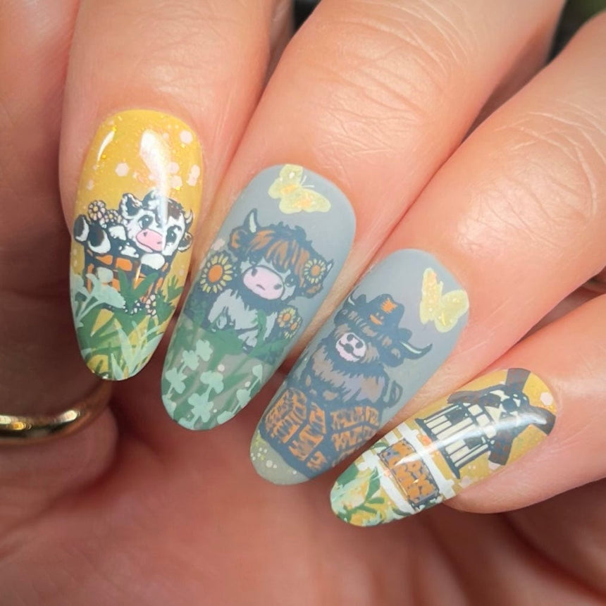 Highland Cows (M590) - Nail Stamping Plate