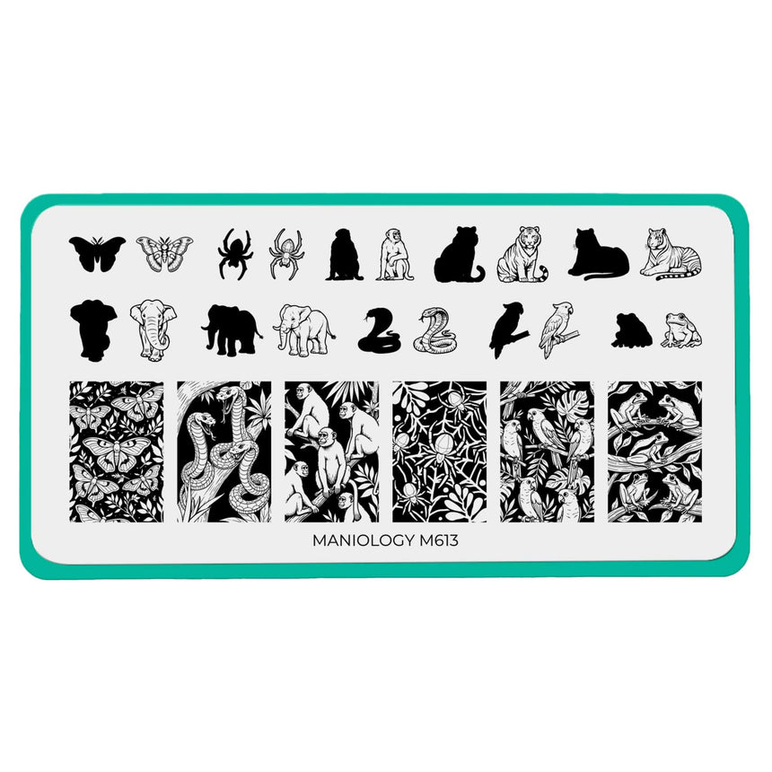Jungle Secrets (M613) - Nail Stamping Plate