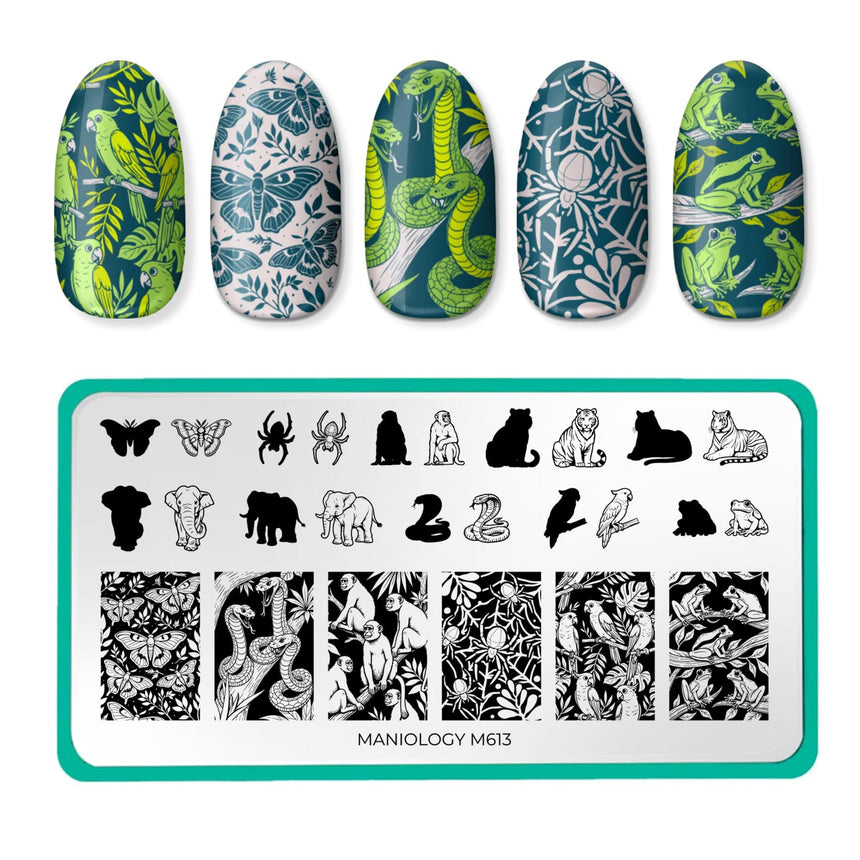 Jungle Secrets (M613) - Nail Stamping Plate