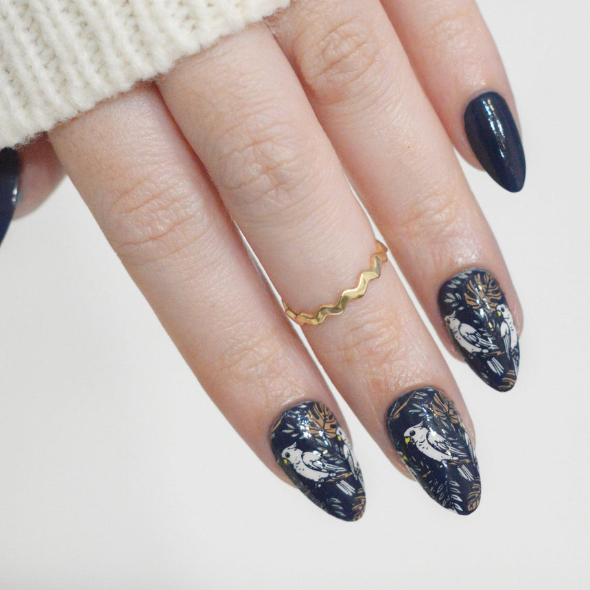 Jungle Secrets (M613) - Nail Stamping Plate