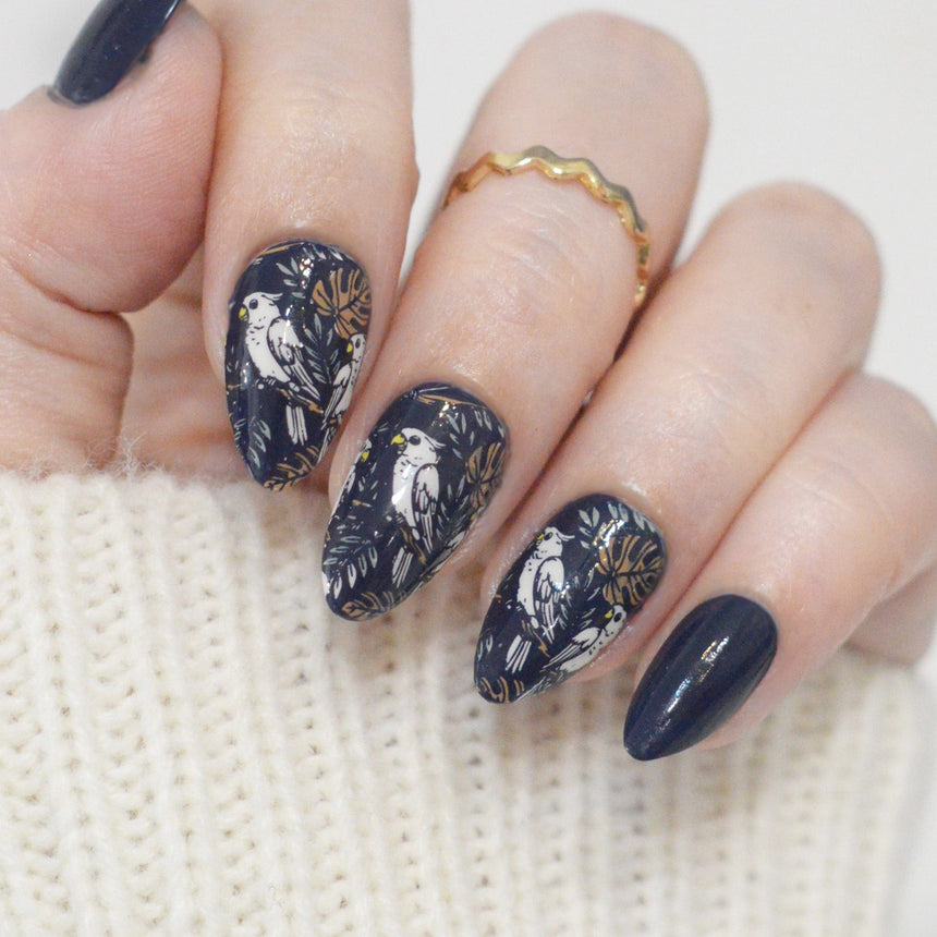 Jungle Secrets (M613) - Nail Stamping Plate