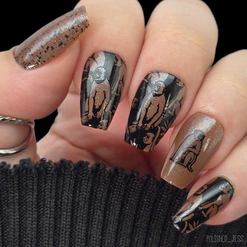 Jungle Secrets (M613) - Nail Stamping Plate