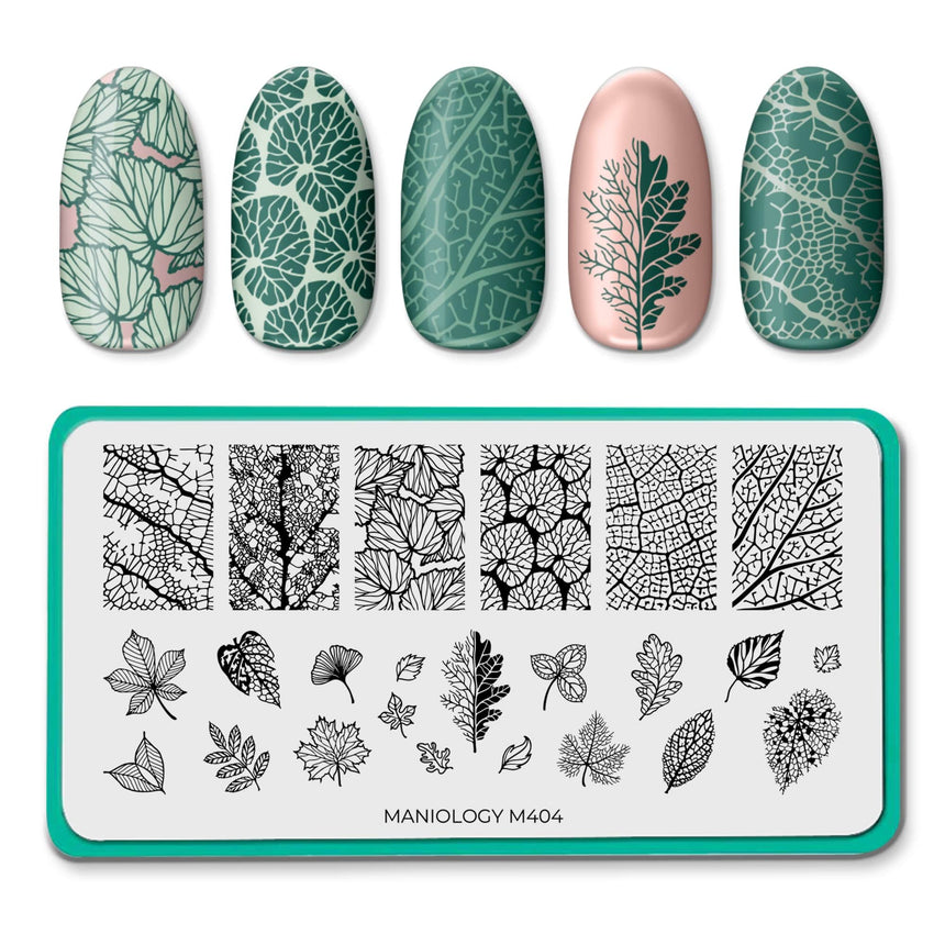 Leaf Skeletons (M404) - Nail Stamping Plate