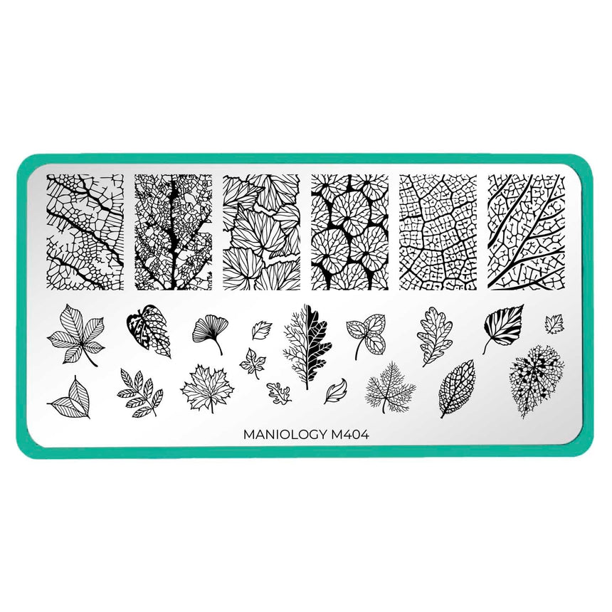 Leaf Skeletons (M404) - Nail Stamping Plate