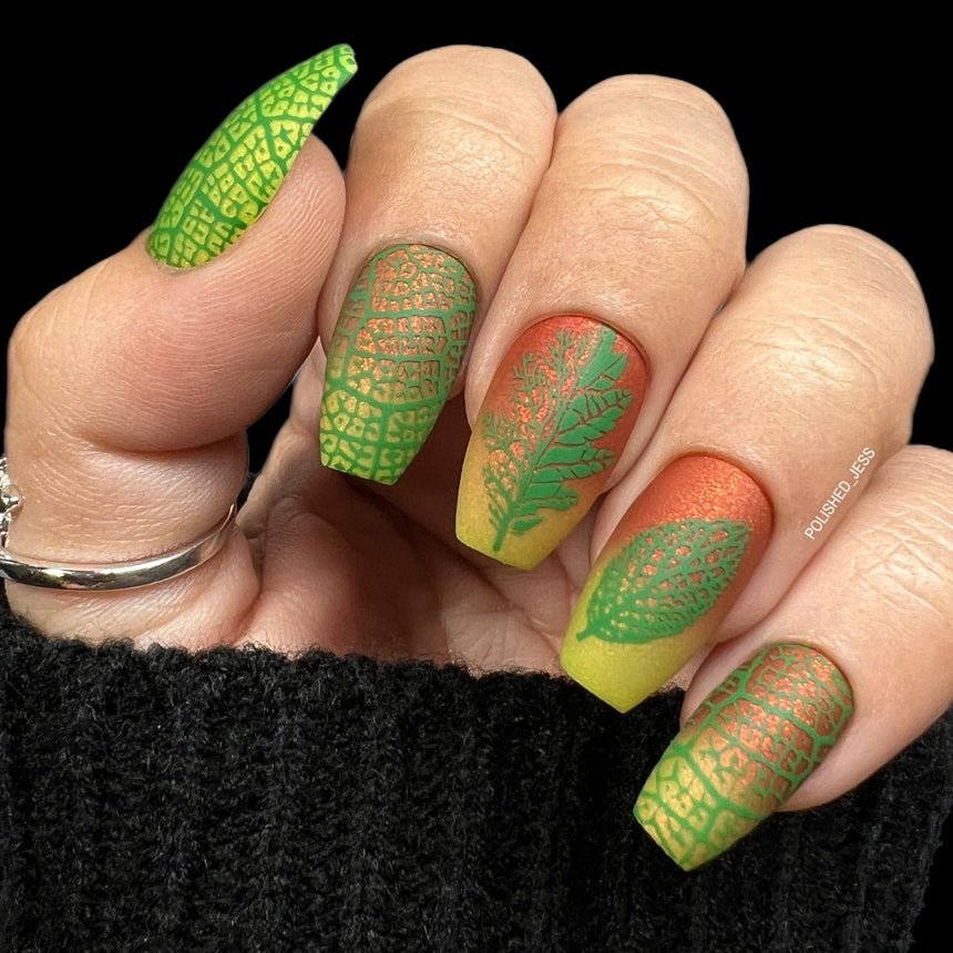 Leaf Skeletons (M404) - Nail Stamping Plate