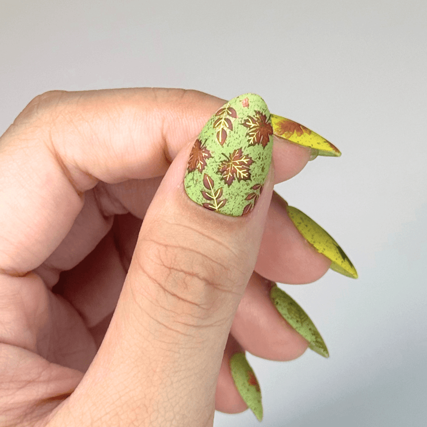Leafy Outlines (MS-113) - Nail Art Sticker